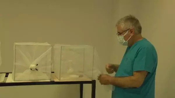 İBB VE UZMANLAR ARASINDA SİVRİSİNEK İLAÇLAMA TARTIŞMASI