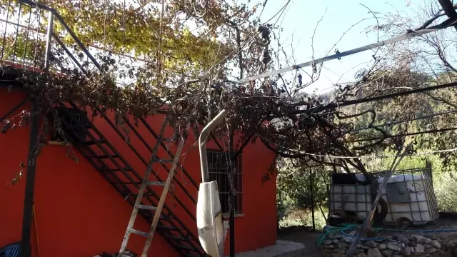 Kozan'da yangının yaraları imece usulü sarılıyor