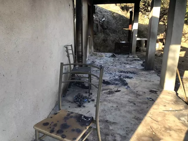 Kozan'da yangının yaraları imece usulü sarılıyor