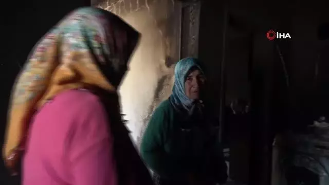 Kozan'da yangının yaraları imece usulü sarılıyor