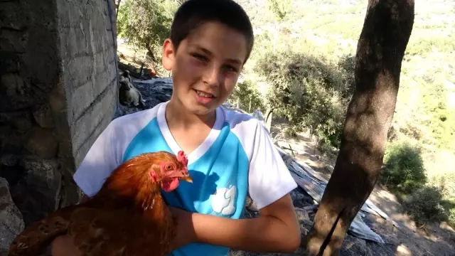 Kozan'da yangının yaraları imece usulü sarılıyor
