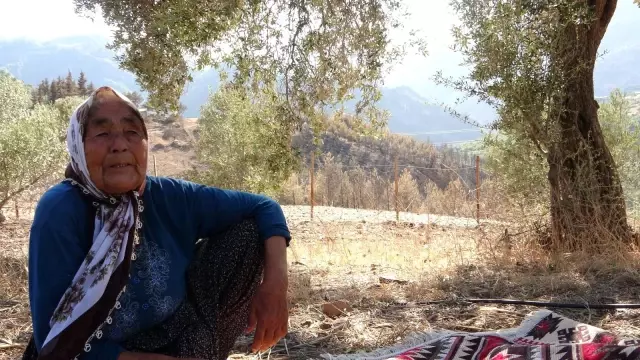 Kozan'da yangının yaraları imece usulü sarılıyor