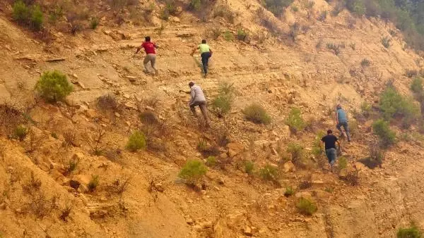 Son dakika haber... MANAVGAT'TAKİ YANGINA VATANDAŞLARDAN BÜYÜK DESTEK