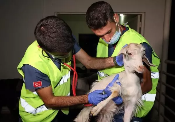 ÜLKENİN HER TARAFINDAN YARDIM YAĞIYOR