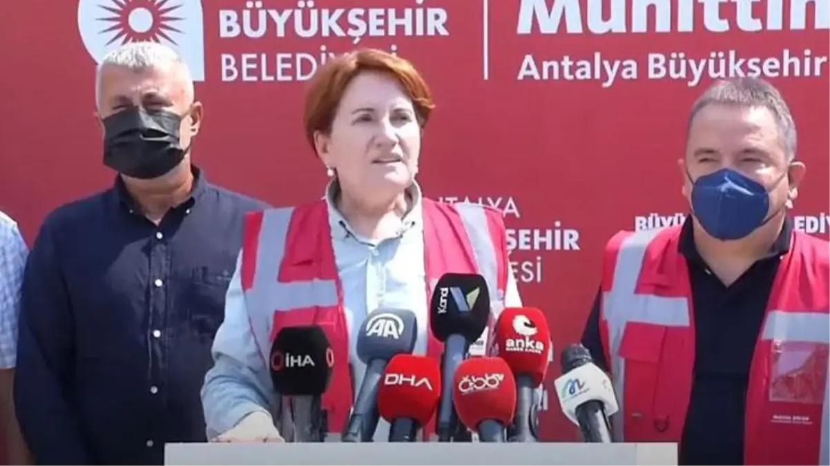 Meral Akşener'den ormanları yakanlara karşı öneri: Terör üyeliği ile yargılansınlar