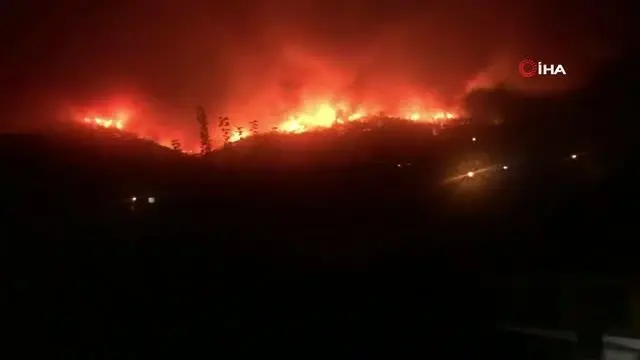 Son dakika! Milas'ta başlayan yangın Bodrum'a sıçradı