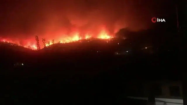 Son dakika! Milas'ta başlayan yangın Bodrum'a sıçradı