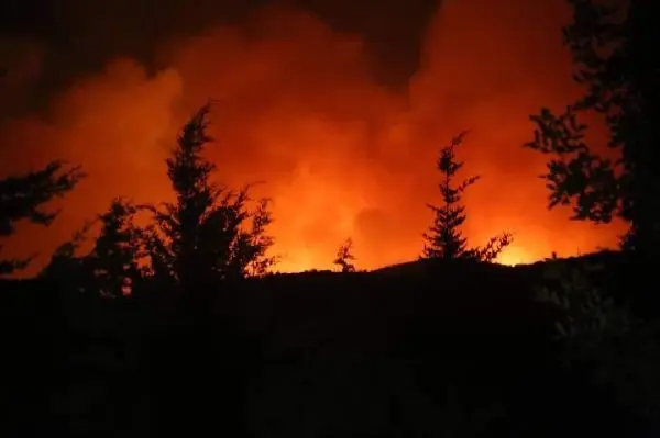Gece vakti tüyler ürperten görüntülerin geldiği Bodrum'dan kötü haberler peş peşe geliyor! Yangın 2 mahalleye daha sıçradı