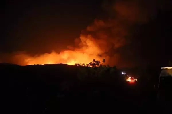 Gece vakti tüyler ürperten görüntülerin geldiği Bodrum'dan kötü haberler peş peşe geliyor! Yangın 2 mahalleye daha sıçradı