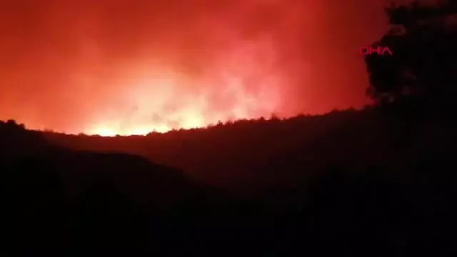 Milas'ta orman yangını BODRUM'DA 2 MAHALLE TAHLİYE EDİLDİ