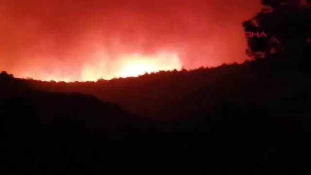 Milas'ta orman yangını BODRUM'DA 2 MAHALLE TAHLİYE EDİLDİ