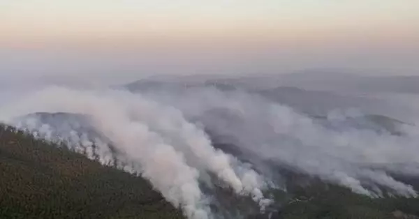 Milas'taki yangında 2'nci gün; alevler Çökertme ve Ören'e ilerliyor