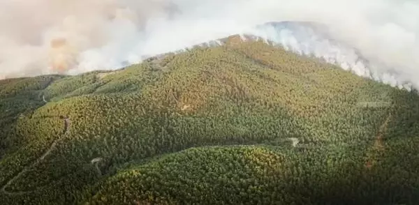 Milas'taki yangında 2'nci gün; alevler Çökertme ve Ören'e ilerliyor