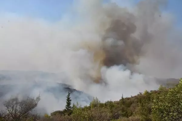 Alevler Bodrum'u sardı! Vatandaşlar evlerinin yanmasını gözyaşları içerisinde izledi