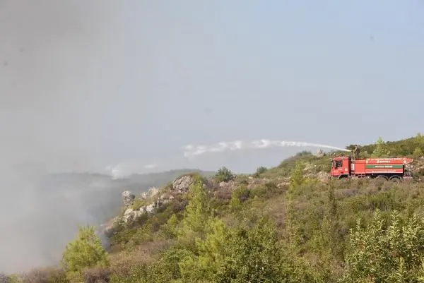 Alevler Bodrum'u sardı! Vatandaşlar evlerinin yanmasını gözyaşları içerisinde izledi