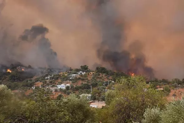 Alevler Bodrum'u sardı! Vatandaşlar evlerinin yanmasını gözyaşları içerisinde izledi