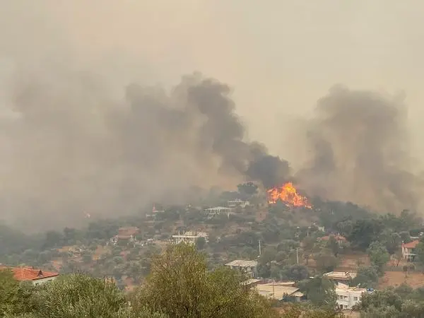 Alevler Bodrum'u sardı! Vatandaşlar evlerinin yanmasını gözyaşları içerisinde izledi