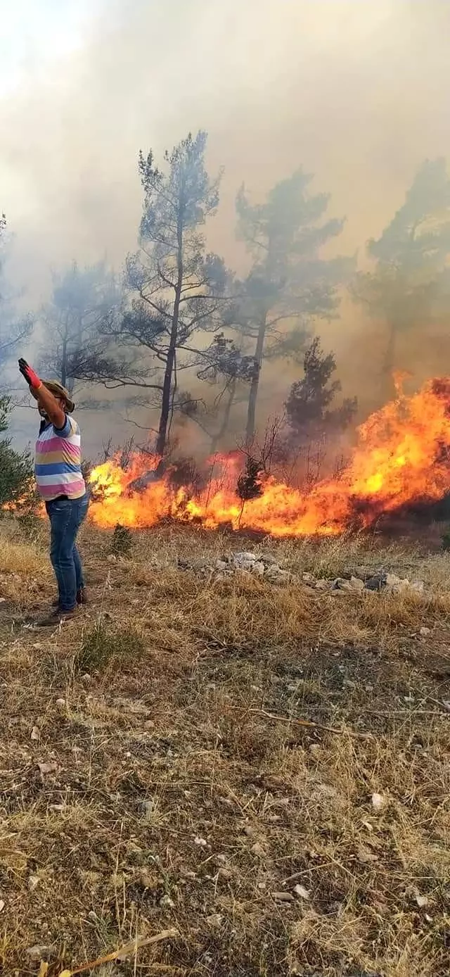 Muğla'da 2 yangın daha çıktı, kentte devam eden yangın sayısı 5'e yükseldi