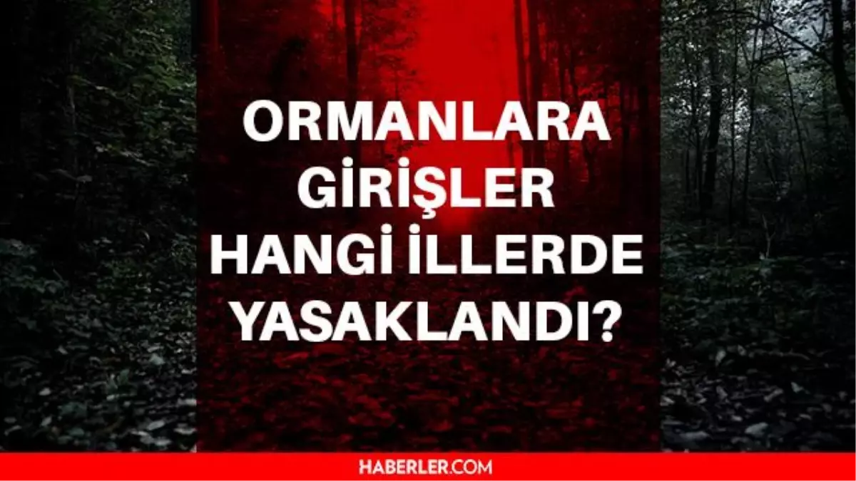 Ormana girmek yasaklandı mı? Hangi illerde ormanlara giriş yasaklandı? Hangi ormanlara giriş yasaklandı? Ormanlara girmek kaç gün yasak?