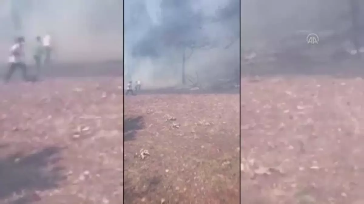 Ormanlık alanda çıkan yangın kontrol altına alındı