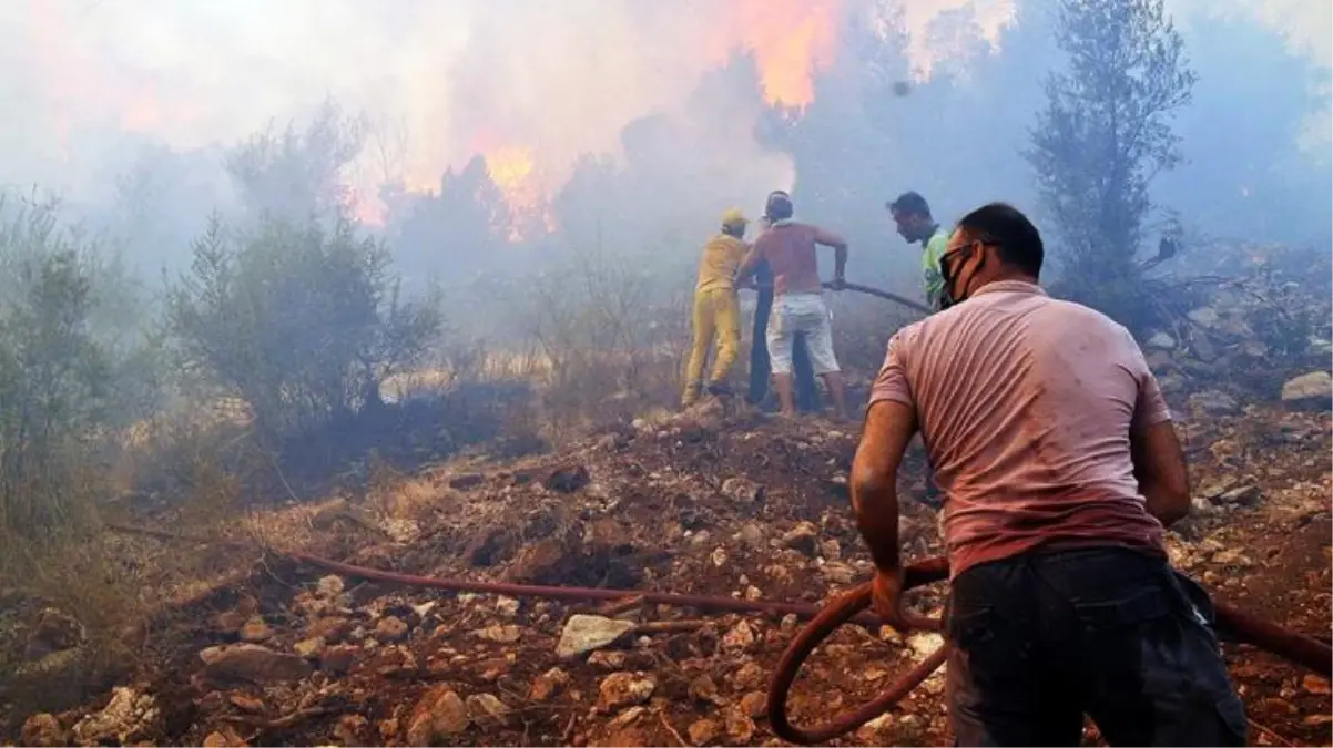 Son Dakika: Mersin ve Antalya'dan sonra bir güzel haber de Muğla'dan! Bodrum'da devam eden yangın kontrol altına alındı