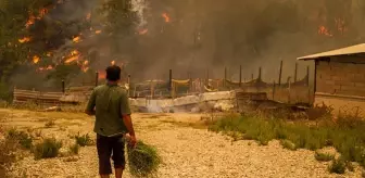 Son durumu Bakan Pakdemirli paylaştı! İşte il il kontrol altına alınan ve devam eden yangınlar