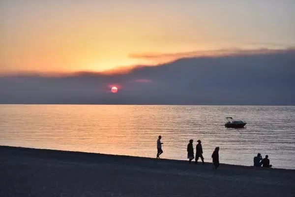 Yangın dumanı ufku kapladı, yavru carettalar yönlerini bulamadı