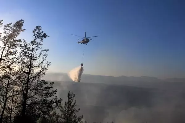 Adana'da orman yangını (2)