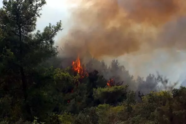 Adana'da orman yangını (2)