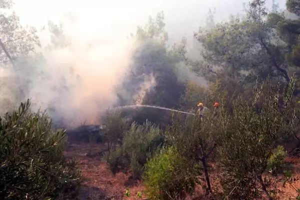 Adana'da orman yangını (2)