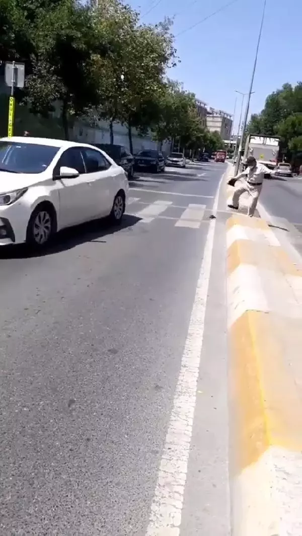 BAĞCILAR'DA CADDEYİ BİRBİRİNE KATAN FARENİN EZİLMEMESİ İÇİN ELİNDEN GELENİ YAPTI