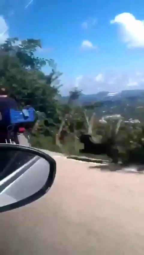 Can Dost'a Vali sahip çıktı