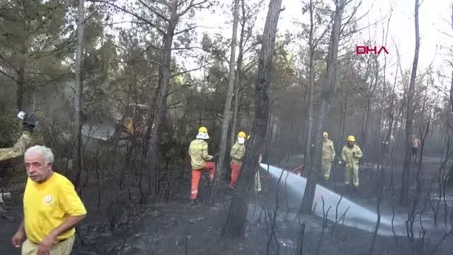 Son dakika haber! İzmir'de orman yangını (2)