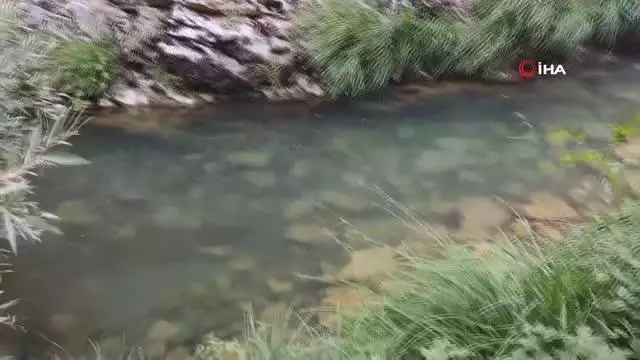Doğa harikası Kıpız Kanyonu ziyaretçilerini bekliyor