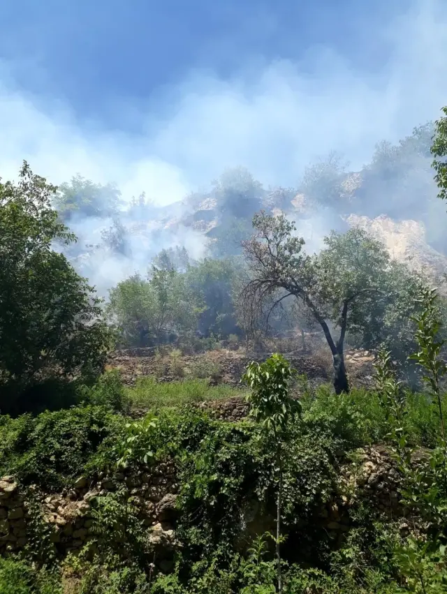 Son dakika! Elazığ'da çıkan orman yangını kısa sürede söndürüldü