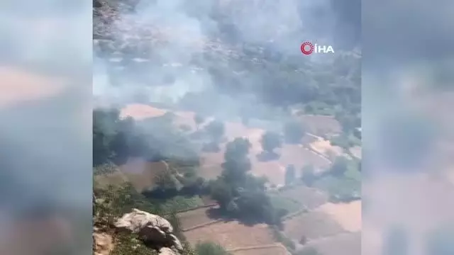 Son dakika! Elazığ'da çıkan orman yangını kısa sürede söndürüldü