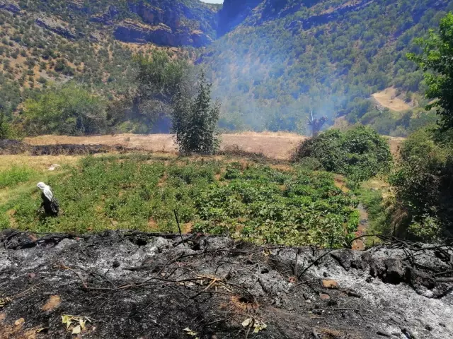 Tarım arazisinde çıkan yangın söndürüldü
