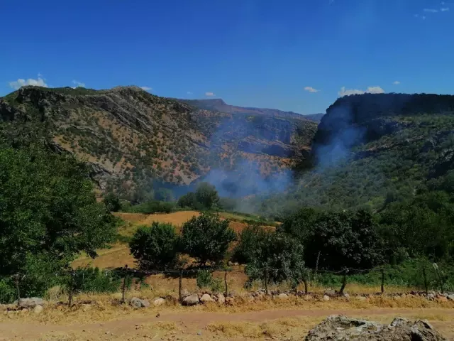 Tarım arazisinde çıkan yangın söndürüldü