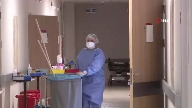 Erzincan'da kene tehlikesi devam ediyor