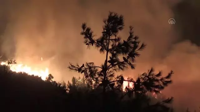 Genel Hayata Etkili Afet Bölgesi ilan edilen Silifke ve Aydıncık'ta, yaraları devlet saracak