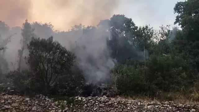 Son dakika gündem: Gündoğmuş'taki orman yangınına çok sayıda helikopterle müdahale ediliyor (2)