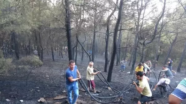 Son dakika haber! İzmir'de orman yangını (2)
