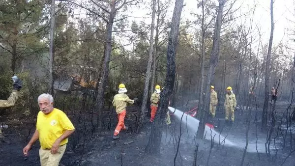 Son dakika haber! İzmir'de orman yangını (2)