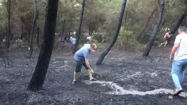 Son dakika haber! İzmir'de orman yangını (2)