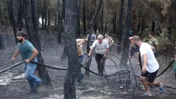 Son dakika haber! İzmir'de orman yangını (2)