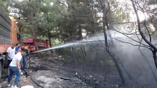 Son dakika haber! İzmir'de orman yangını (2)