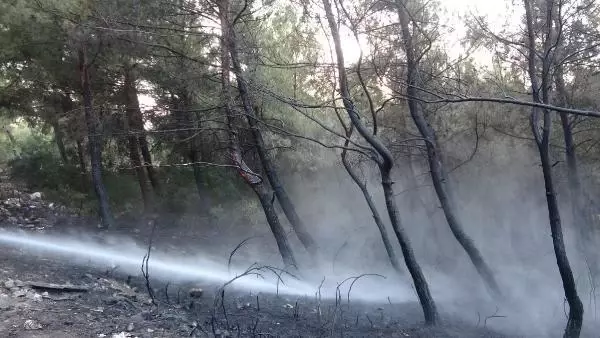 Son dakika haber! İzmir'de orman yangını (2)