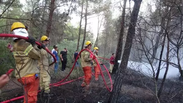 Son dakika haber! İzmir'de orman yangını (2)
