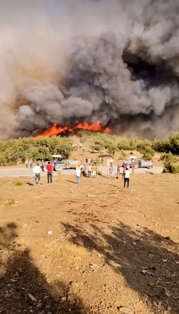 Kavaklıdere yangınında köyler tahliye edilmeye başlandı