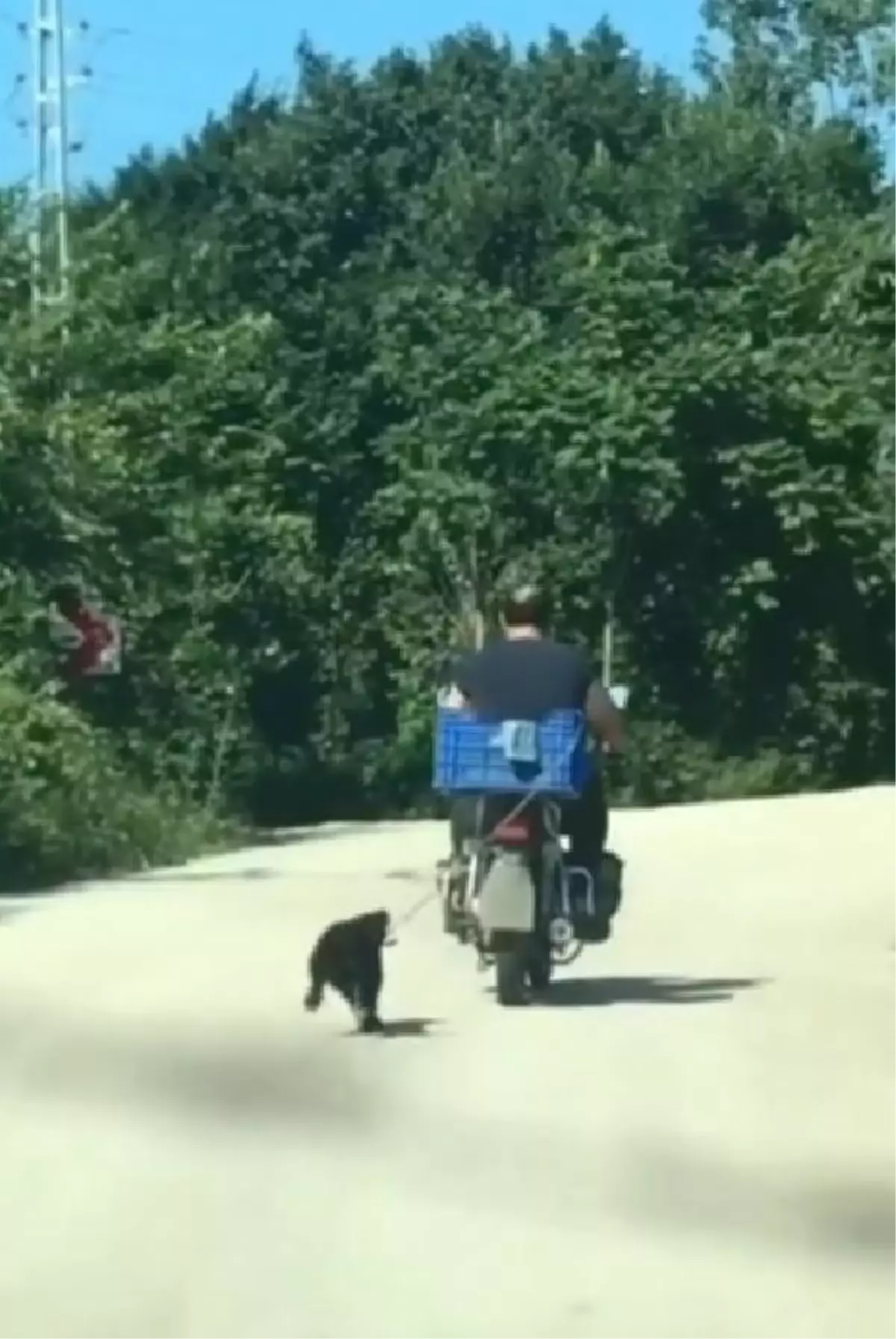 KÖPEĞİ MOTOSİKLETİN ARKASINA BAĞLAYAN SÜRÜCÜ YAKALANDI